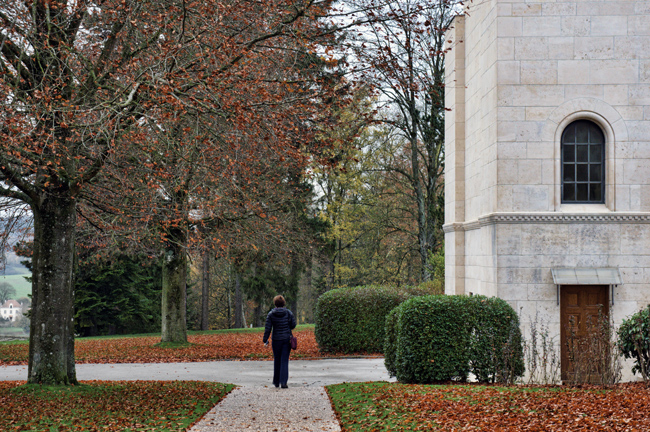 Photograph of fallen leaves at Meuse-Argonne American Cemetery on Veterans Day 2015.
